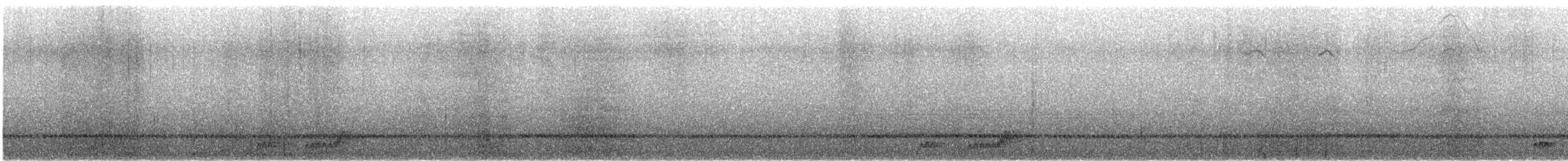 Mexican Whip-poor-will - ML643574612