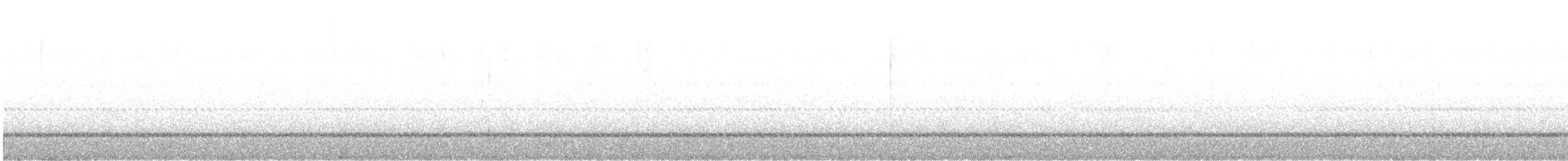 Búho Americano - ML643575068