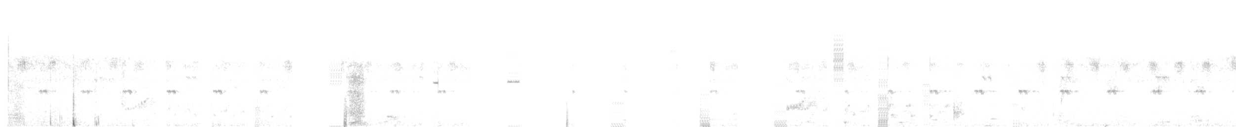 コヨタカ - ML643576352