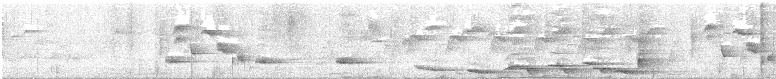 Albert's Lyrebird - ML643576867