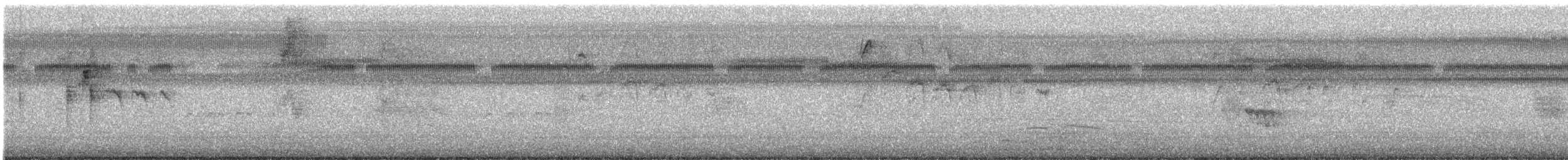 オオハシタイランチョウ - ML643576876