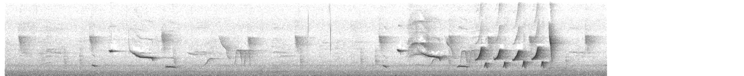 Sinaloa Wren - ML643576956
