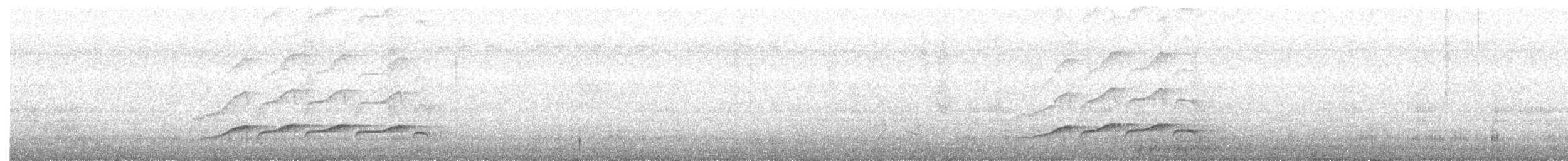 Bright-rumped Attila - ML643577036