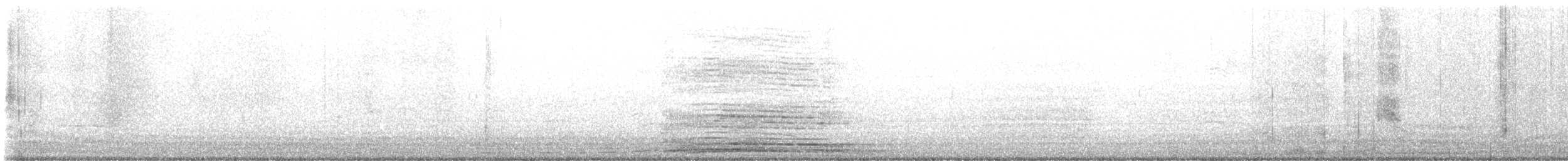 Búho Americano - ML643577119