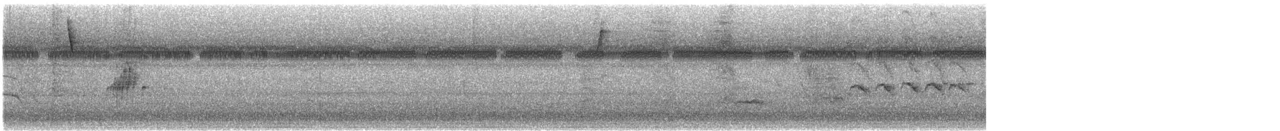 nordtropepivi - ML643577534
