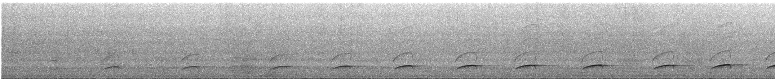 Dull-capped Attila - ML643578362