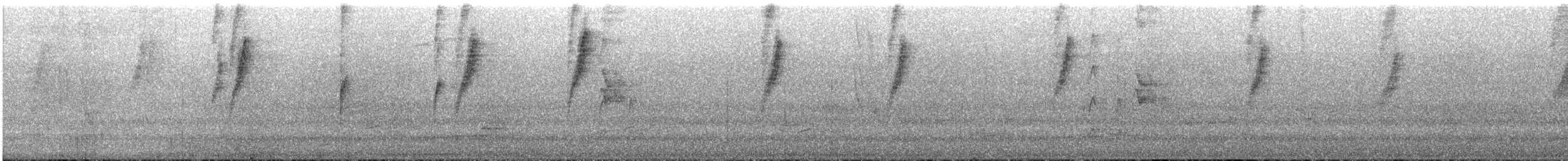 Tangara à bec d'argent - ML643578399