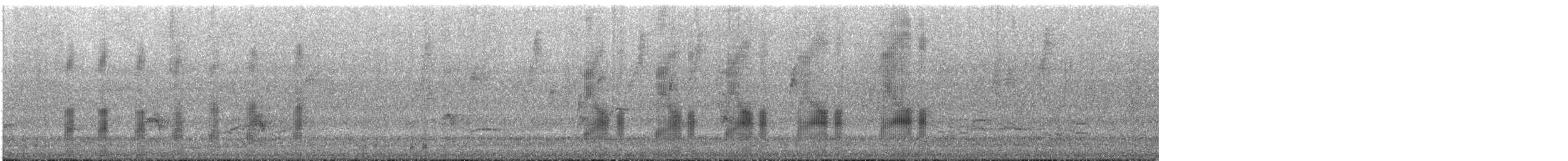 Black-tailed Tityra - ML643578407