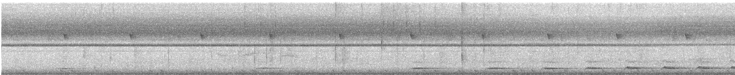 ジャワスズメフクロウ - ML643578646