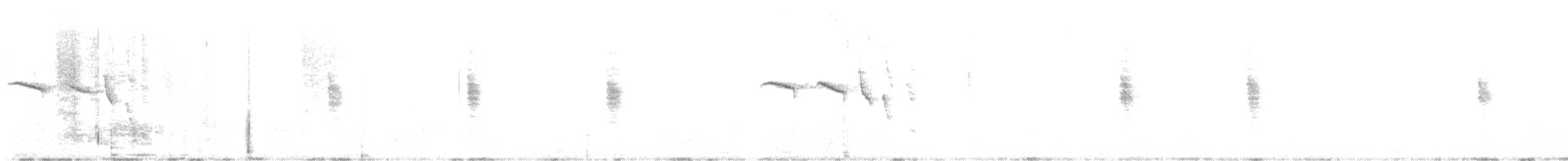 Red-tailed Comet - ML643578663