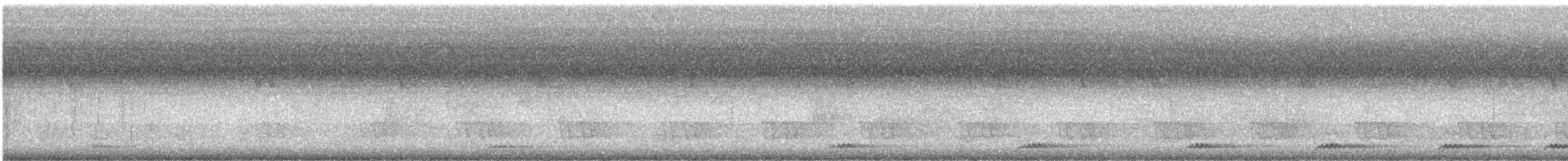 ジャワスズメフクロウ - ML643578668