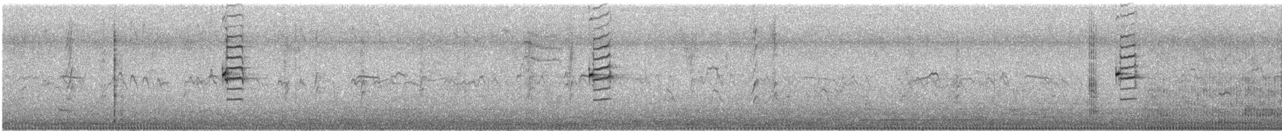 Amerika Küçük Batağanı - ML643579041