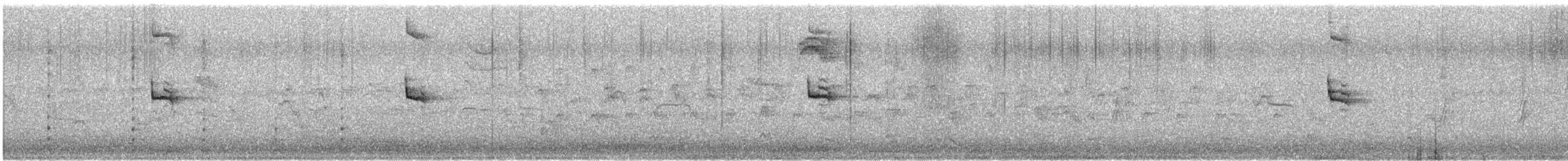 Txilinporta mokolodia - ML643579114