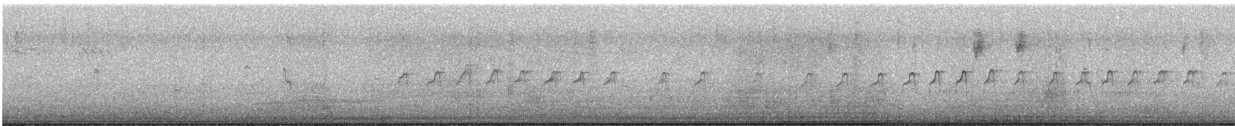 Txilinporta mokolodia - ML643579117