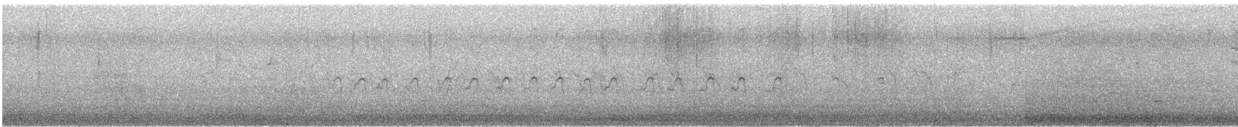 Black Phoebe (Northern) - ML643579244