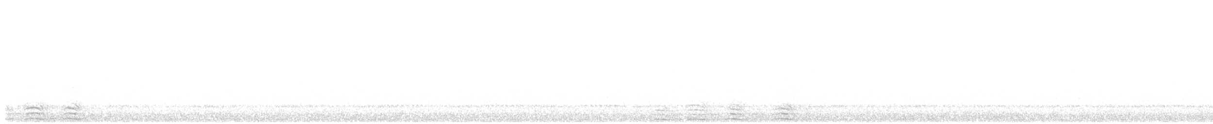 Búho Americano - ML643579270