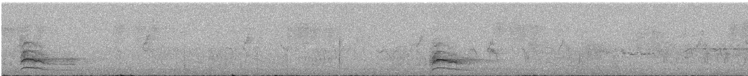 Zapelatz arrunta - ML643580113