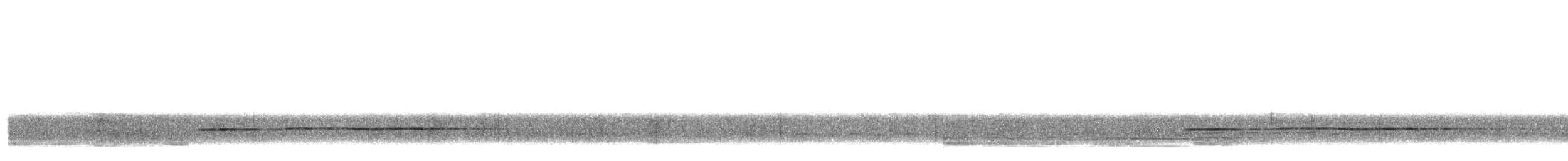 Tavus Guguğu - ML643580192