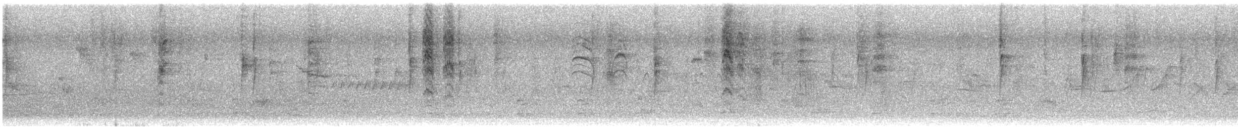 シロハラミソサザイ（mexicanus グループ） - ML643580684
