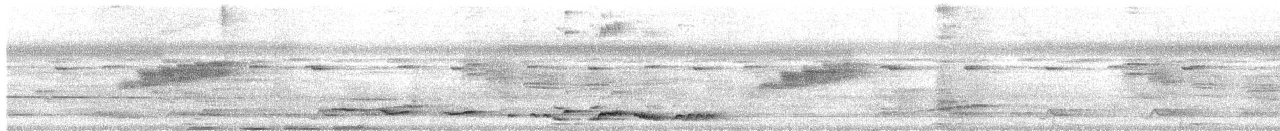 White-crowned Shama - ML643583700