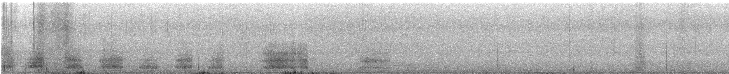 Koartza hauskara amerikarra - ML643583804