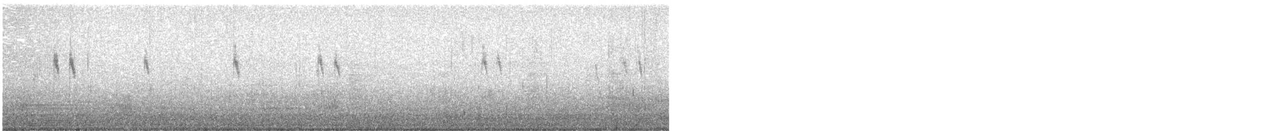 灰鶺鴒 - ML643584003