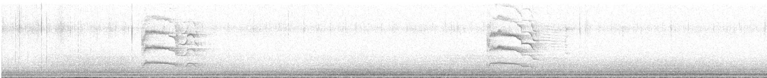 Australasian Swamphen - ML643584365