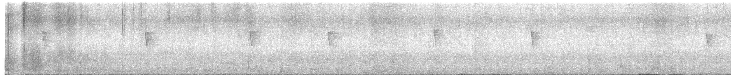 Yellow-throated Warbler (dominica/stoddardi) - ML643584505