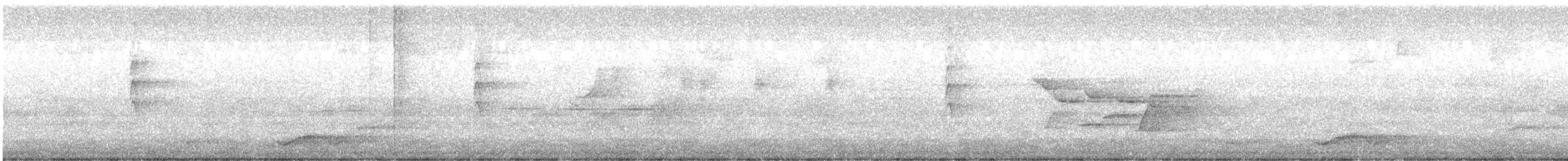 Pied Currawong - ML643584858