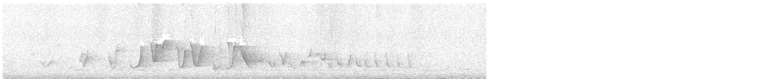 Siffleur itchong - ML643584977