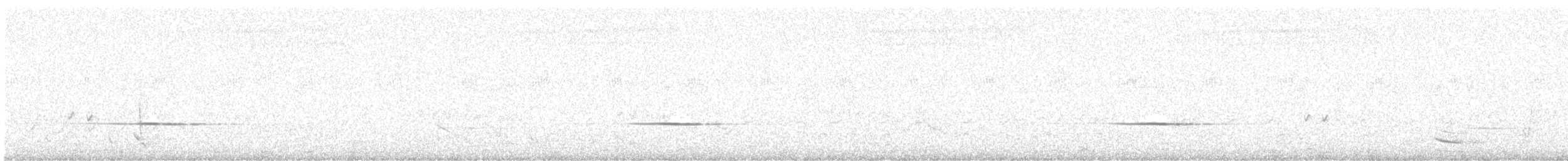 Siffleur itchong - ML643584978