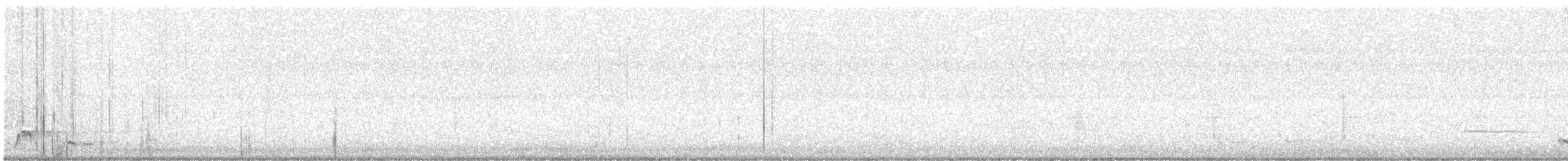 Silver-backed Butcherbird - ML643585040