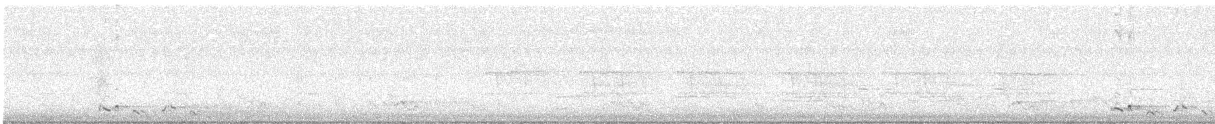 Silver-backed Butcherbird - ML643585041