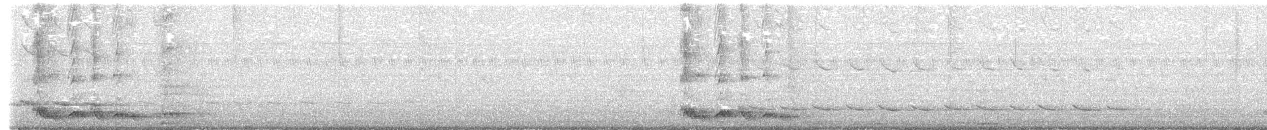 Silver-backed Butcherbird - ML643585042