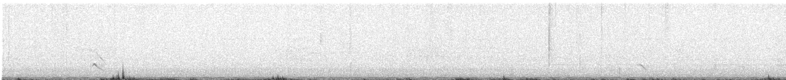 Australasian Figbird - ML643585268
