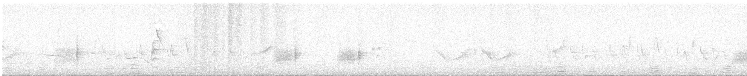 Bar-breasted Honeyeater - ML643585366