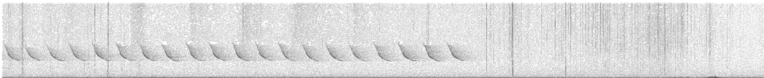 Siffleur itchong - ML643585519