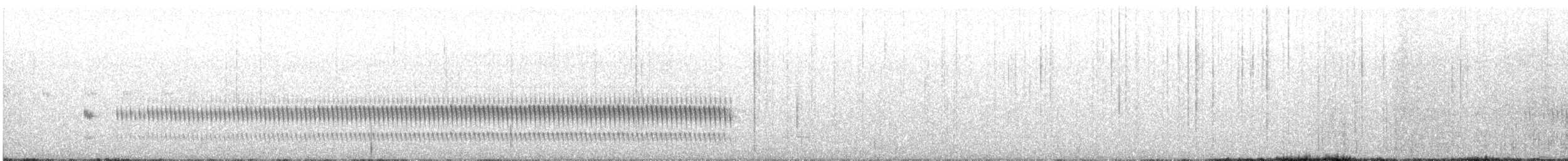 Paramo Tapaculo - ML643585858