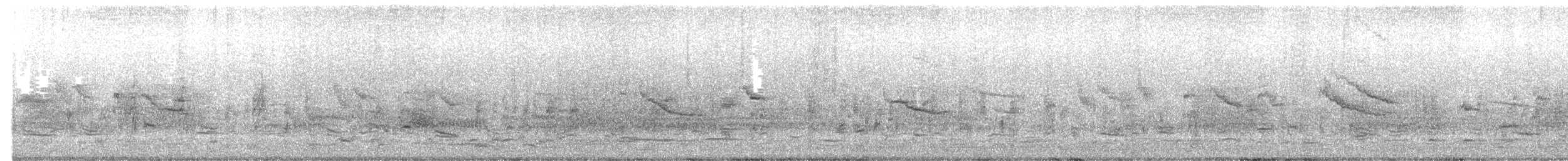 ハゴロモガラス（phoeniceus グループ） - ML643586741