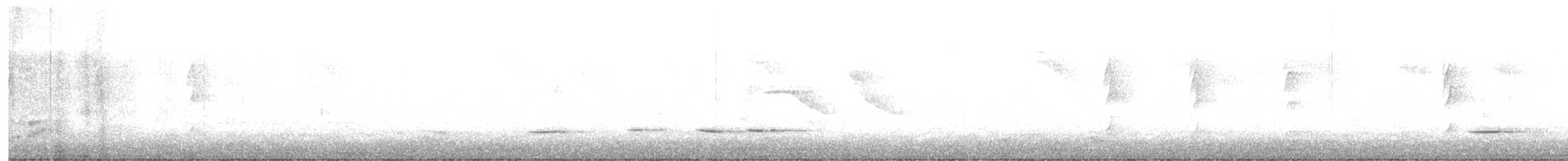 Tavus Guguğu - ML643586799