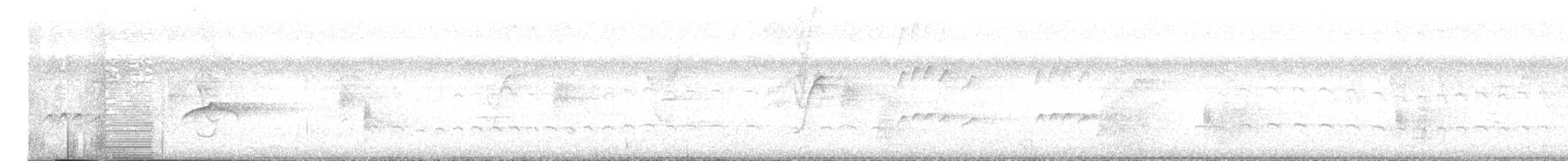 Piratic Flycatcher - ML643586989