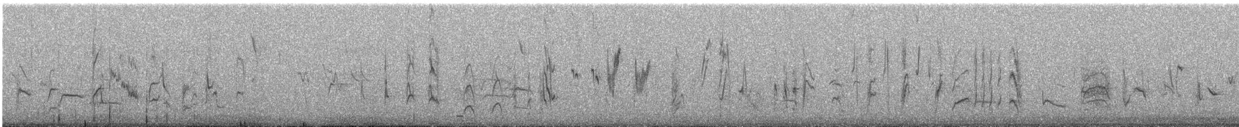 čížek západní - ML643587276