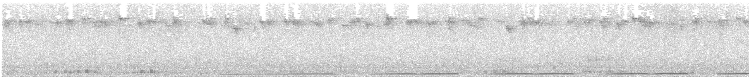 Marbled Frogmouth (Plumed) - ML643587699