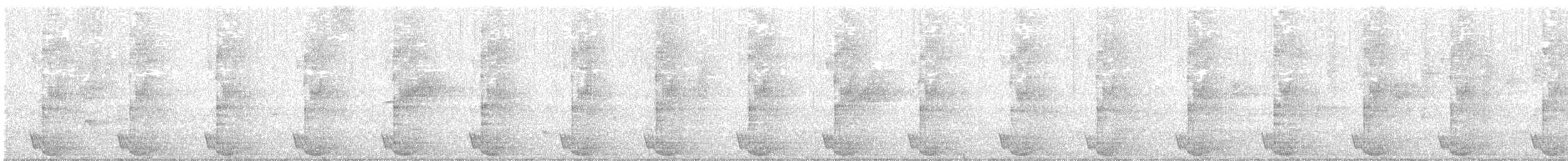 Albert's Lyrebird - ML643587844