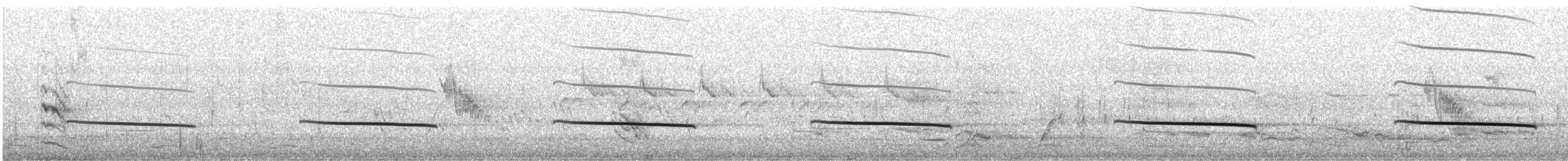 Black-eared Cuckoo - ML643587922