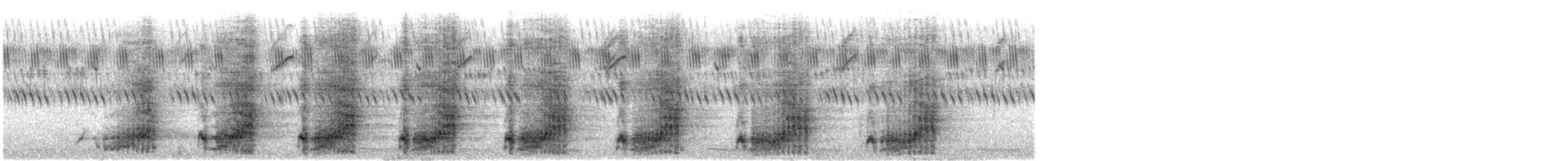 Francolin à double éperon - ML643587946