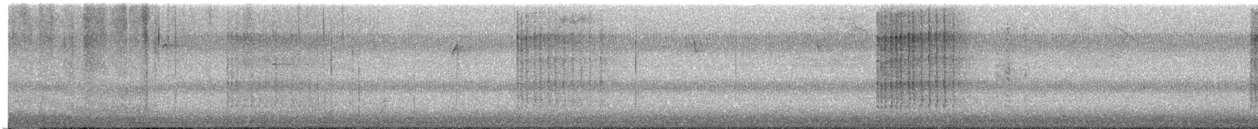 Belted Kingfisher - ML643588664