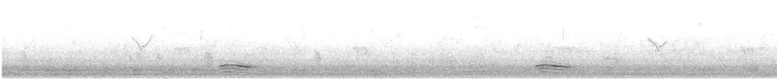 斑脇秧雞 - ML643589071