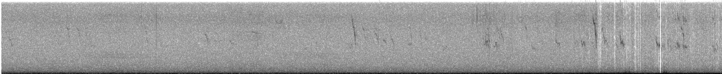 American Pipit - ML643589083