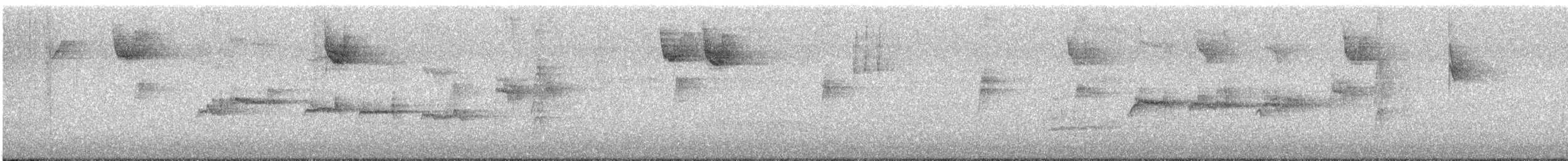 White-throated Sparrow - ML643589514